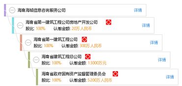 海南海城信息咨詢服務(wù)公司 專業(yè)、精準(zhǔn)、高效的信息咨詢解決方案